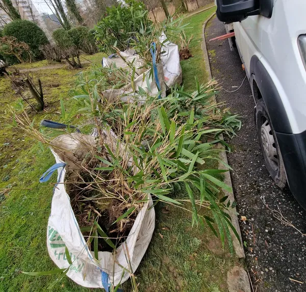 Évacuation de Déchets