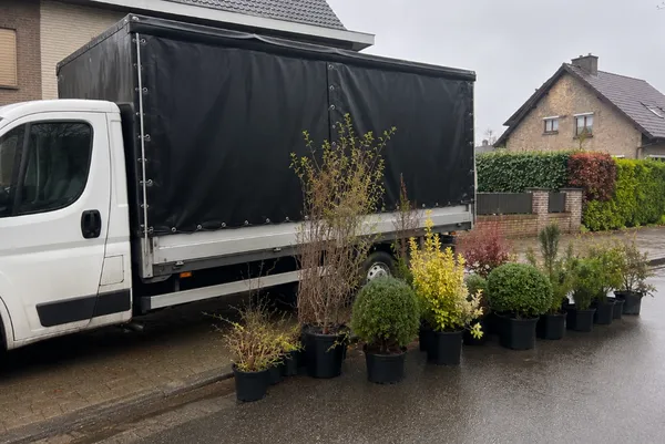 Livraison de plantes