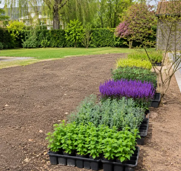 Plantation