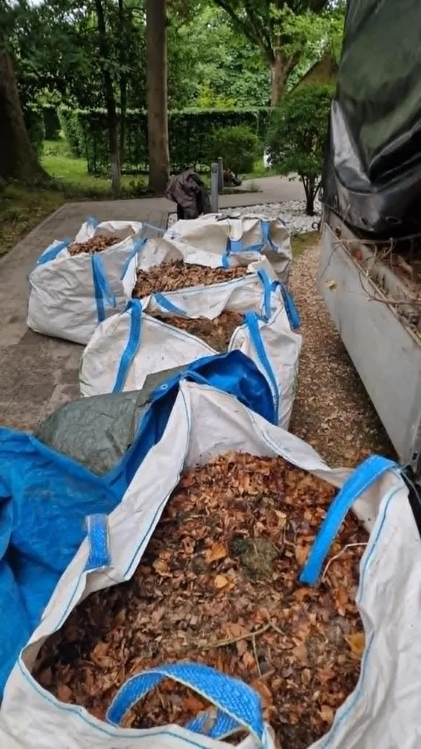 Ramassage de Feuilles